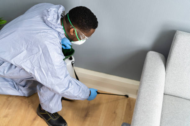 Best Residential Pest Control  in Pittsburg, TX